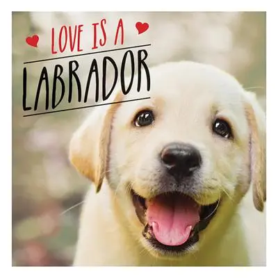 L'amour est un labrador - Une célébration fantastique du chien préféré du monde entier - Love is a Labrador - A Lab-Tastic Celebration of the World's Favourite Dog