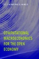 Macroéconomie informatique pour l'économie ouverte - Computational Macroeconomics for the Open Economy