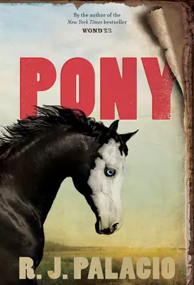 Poney - Pony