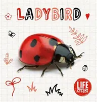 Coccinelle - Ladybird