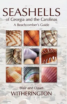 Les coquillages de Géorgie et des Carolines : Guide de l'amateur de plage - Seashells of Georgia and the Carolinas: A Beachcomber's Guide