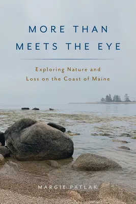 Plus qu'un simple regard : Exploration de la nature et de la perte sur la côte du Maine - More Than Meets the Eye: Exploring Nature and Loss on the Coast of Maine