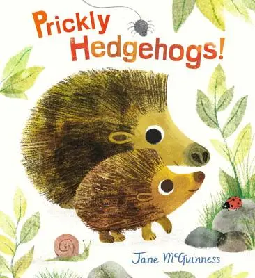 Hérissons épineux ! - Prickly Hedgehogs!