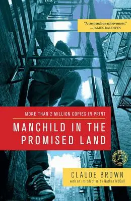 L'enfant de l'homme en terre promise - Manchild in the Promised Land