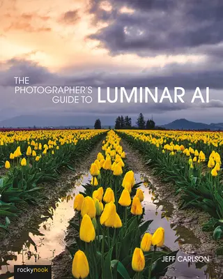 Le guide du photographe pour Luminar AI - The Photographer's Guide to Luminar AI