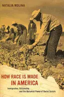 How Race Is Made in America, 38 : Immigration, Citizenship, and the Historical Power of Racial Scripts (Comment la race est faite en Amérique, 38 : Immigration, citoyenneté et pouvoir historique des scénarios raciaux) - How Race Is Made in America, 38: Immigration, Citizenship, and the Historical Power of Racial Scripts