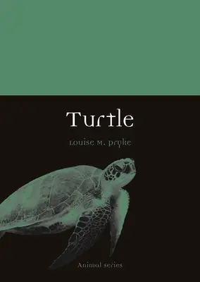Tortue - Turtle