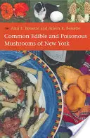 Champignons communs comestibles et vénéneux de New York - Common Edible and Poisonous Mushrooms of New York