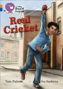 Le vrai cricket - Real Cricket