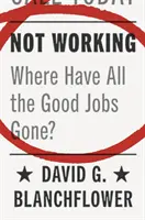 Ne pas travailler : Où sont passés tous les bons emplois ? - Not Working: Where Have All the Good Jobs Gone?