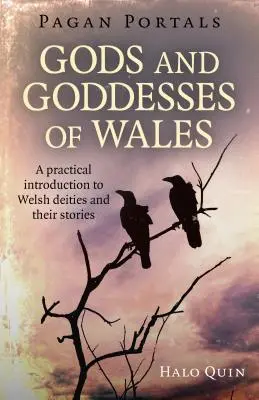 Pagan Portals - Dieux et déesses du Pays de Galles : Une introduction pratique aux divinités galloises et à leurs histoires - Pagan Portals - Gods and Goddesses of Wales: A Practical Introduction to Welsh Deities and Their Stories