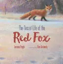 La vie secrète du renard roux - The Secret Life of the Red Fox