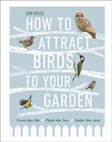 Comment attirer les oiseaux dans votre jardin - Les aliments qu'ils aiment, les plantes qu'ils adorent, les abris dont ils ont besoin - How to Attract Birds to Your Garden - Foods they like, plants they love, shelter they need