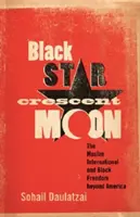Étoile noire, croissant de lune : L'Internationale musulmane et la liberté des Noirs au-delà de l'Amérique - Black Star, Crescent Moon: The Muslim International and Black Freedom beyond America