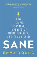 Sane - Comment j'ai façonné mon esprit, amélioré ma force mentale et trouvé le calme - Sane - How I shaped up my mind, improved my mental strength and found calm