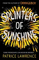 Éclats de soleil - Splinters of Sunshine