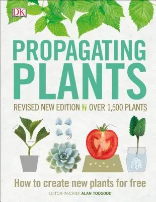 Propagation des plantes : Comment créer de nouvelles plantes gratuitement - Propagating Plants: How to Create New Plants for Free