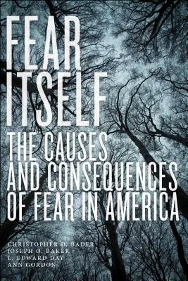 La peur elle-même : Les causes et les conséquences de la peur en Amérique - Fear Itself: The Causes and Consequences of Fear in America