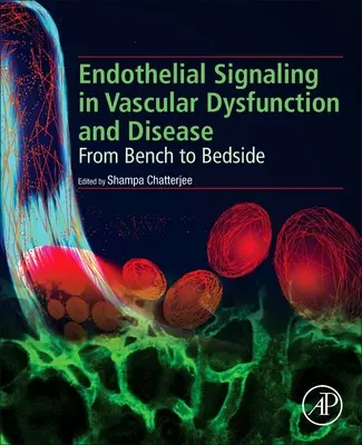 Signalisation endothéliale dans la dysfonction et la maladie vasculaires : De la paillasse au chevet du malade - Endothelial Signaling in Vascular Dysfunction and Disease: From Bench to Bedside