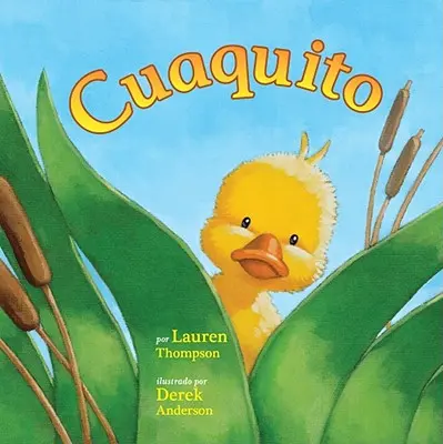 Cuaquito (Petit Coin) - Cuaquito (Little Quack)