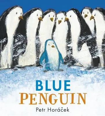 Pingouin bleu - Blue Penguin