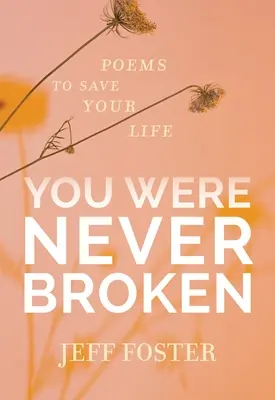 Tu n'as jamais été brisé : Des poèmes pour sauver votre vie - You Were Never Broken: Poems to Save Your Life