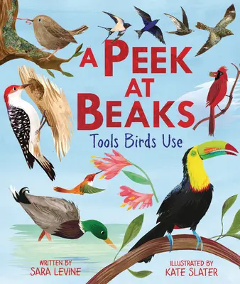 Un coup d'œil sur les becs : Les outils des oiseaux - A Peek at Beaks: Tools Birds Use