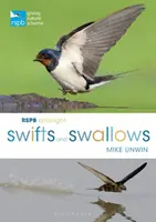 Les martinets et les hirondelles de la RSPB - RSPB Spotlight Swifts and Swallows