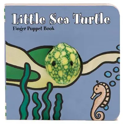 Petite tortue de mer - Little Sea Turtle