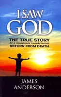 J'ai vu Dieu : L'histoire vraie du retour miraculeux d'un jeune garçon de la mort - I Saw God: The True Story of a Young Boy's Miraculous Return from Death