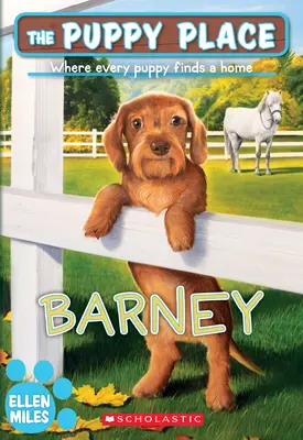 Barney (la place du chiot n°57), 57 - Barney (the Puppy Place #57), 57