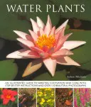 Plantes d'eau - Un guide illustré des variétés, de la culture et des soins, avec des instructions pas à pas et plus de 110 belles photographies. - Water Plants - An Illustrated Guide to Varieties, Cultivation and Care, with Step-by-step Instructions and Over 110 Beautiful Photographs