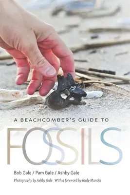 Guide des fossiles à l'usage des plagistes - A Beachcomber's Guide to Fossils