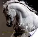 Le cheval arabe d'Égypte - The Arabian Horse of Egypt