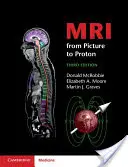 L'IRM, de l'image au proton - MRI from Picture to Proton