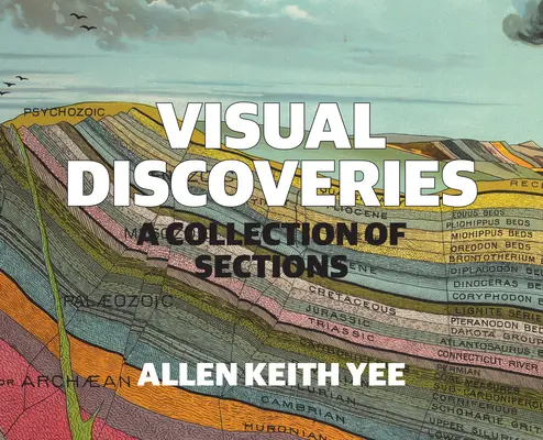 Découvertes visuelles : Une collection de sections - Visual Discoveries: A Collection of Sections