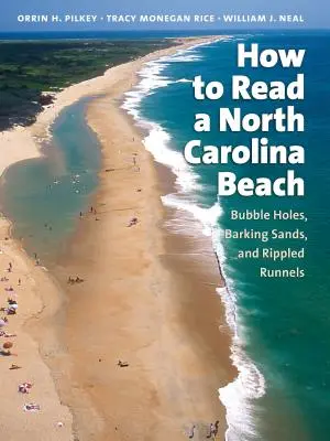 Comment lire une plage de Caroline du Nord : Trous de bulles, sables aboyants, et canaux ondulés - How to Read a North Carolina Beach: Bubble Holes, Barking Sands, and Rippled Runnels