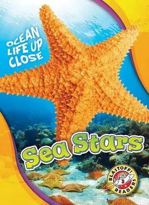 Étoiles de mer - Sea Stars