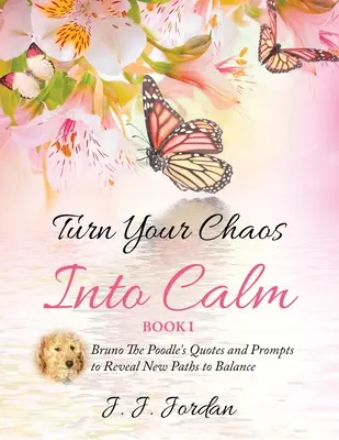 Transformez votre chaos en calme - Turn Your Chaos Into Calm