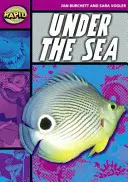 Lecture rapide : Sous la mer (étape 3, niveau 3A) - Rapid Reading: Under the Sea (Stage 3, Level 3A)