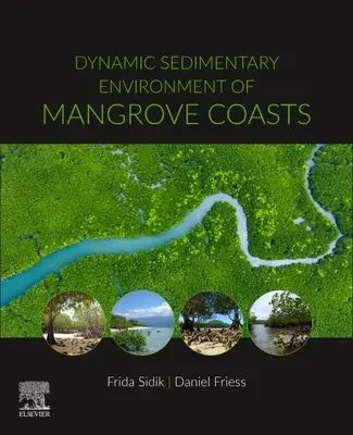 Environnements sédimentaires dynamiques des côtes de mangrove - Dynamic Sedimentary Environments of Mangrove Coasts