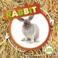 Le lapin - Rabbit