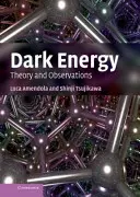 L'énergie noire : Théorie et observations - Dark Energy: Theory and Observations