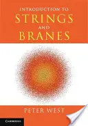 Introduction aux cordes et aux branches - Introduction to Strings and Branes