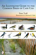 Guide illustré des oiseaux communs de Cape Cod - An Illustrated Guide to the Common Birds of Cape Cod