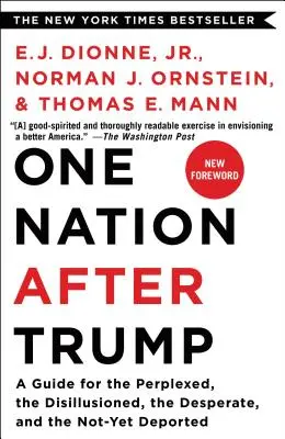 Une nation après Trump : Un guide pour les perplexes, les désillusionnés, les désespérés et ceux qui n'ont pas encore été expulsés - One Nation After Trump: A Guide for the Perplexed, the Disillusioned, the Desperate, and the Not-Yet Deported