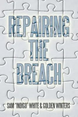 Réparer la brèche - Repairing the Breach