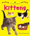 Panneaux d'images « Dites et pointez » : Chatons - Say and Point Picture Boards: Kittens