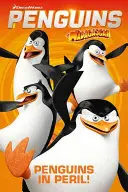 Les pingouins de Madagascar - Les pingouins en péril - Penguins of Madagascar - Penguins in Peril