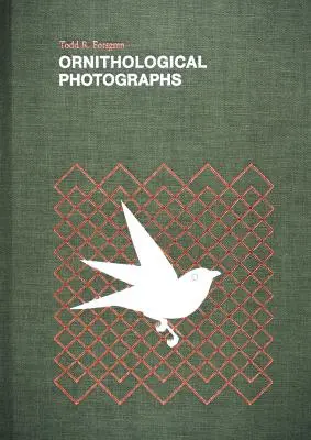 Photographies ornithologiques - Ornithological Photographs